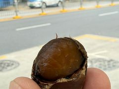 -粒上皇(人民南二路店)