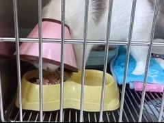 -嘉馨宠物医院·CT影像转诊·心脏科·犬猫全科诊疗中心(下沙大学城院区)