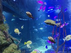 -沈阳海洋探索中心