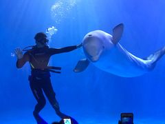 -多彩贵州城极地海洋世界