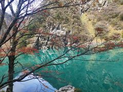 -叠溪松坪沟景区