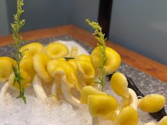 -华晟山城火锅(开发区港西东阁里店)