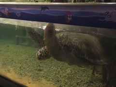 -苏州海洋馆