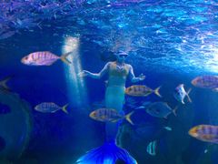 -多彩贵州城极地海洋世界