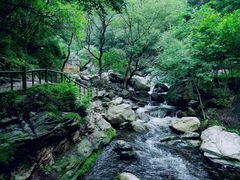 -少华山国家森林公园