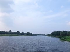 -蒲河岛湿地公园