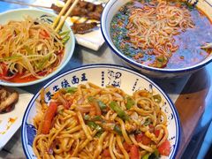 -贺秦生陕面王(富力城店)