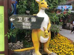 -呀路古热带植物园