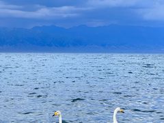-赛里木湖风景名胜区