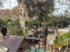 -HERRE·FARM 赫尔露营农场·团建聚会包场