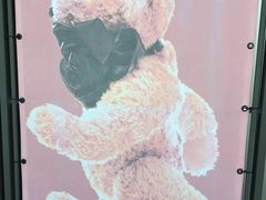 -济州岛泰迪熊博物馆