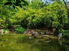 -汇龙潭