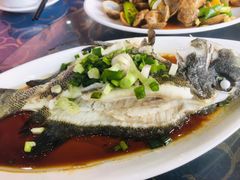 -七鲜渔港美食餐厅(巽寮湾海景店)
