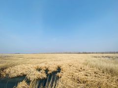 -野鸭湖国家湿地公园