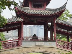-龙潭水乡