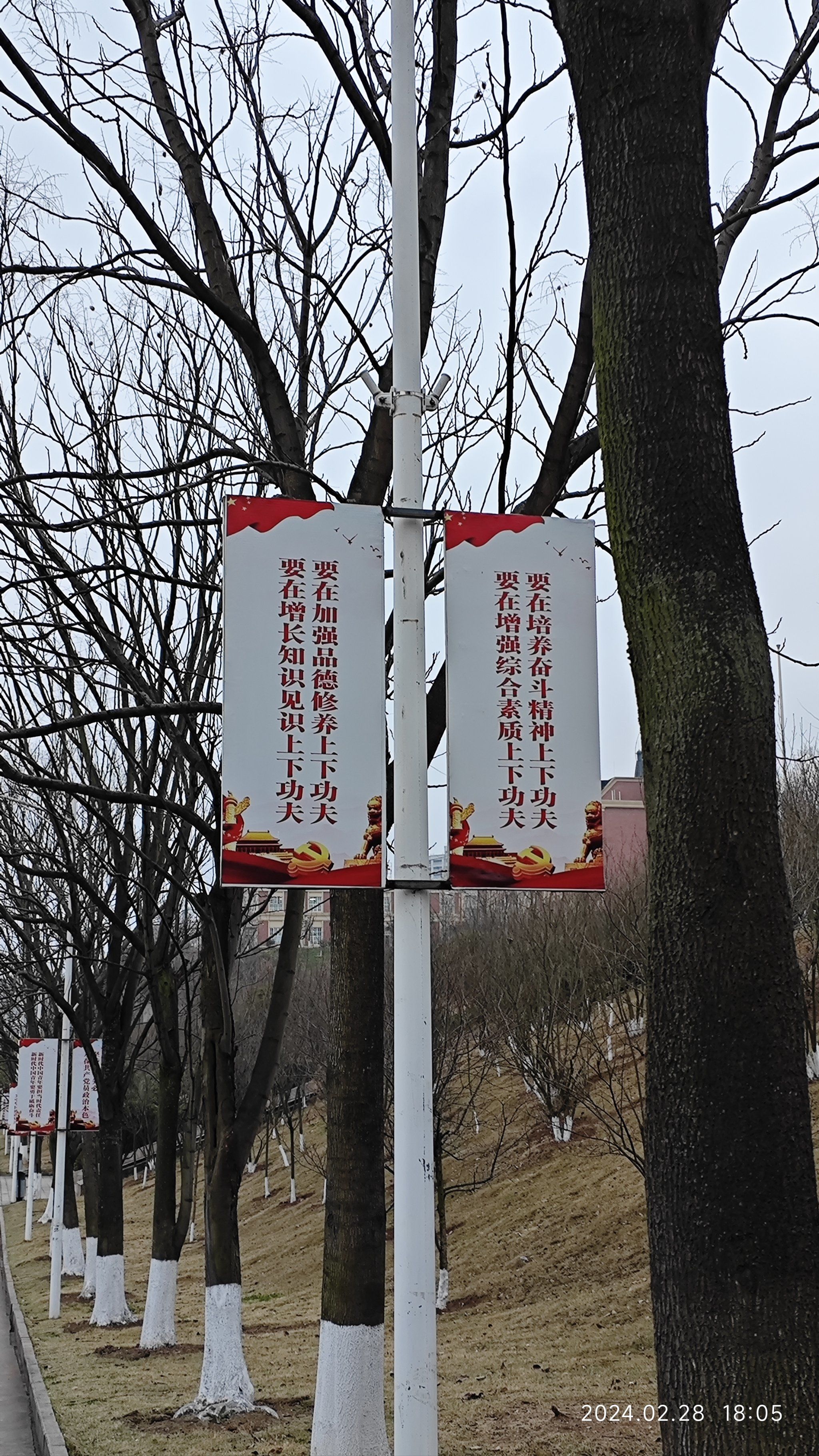 学校在各处路灯上都制作安装了很多带有传统文化的灯牌,让经院学子们
