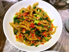 鸭掌筋-壹盏灯(惠农店)