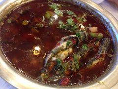 -胖大姐黄辣丁鱼庄(新津店)