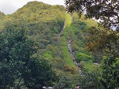 -梧桐山风景名胜区