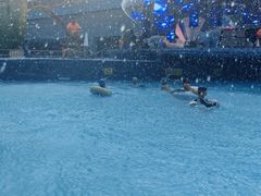 -水立方嬉水乐园