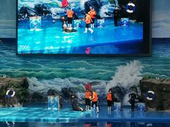 -多彩贵州城极地海洋世界