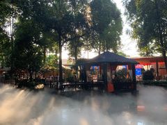 -二荆条·蜀鲜汇城市森林火锅