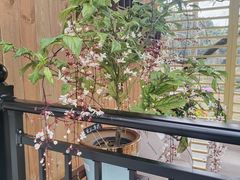 -云溪植物园