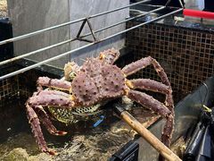 -海鲜e族(马王堆店)