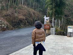-江南天池