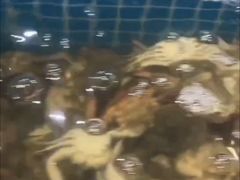 -海天盛宴新派海鲜自助餐厅(群力店)