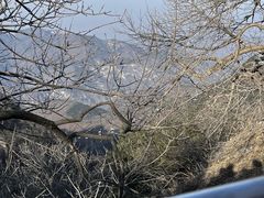 -泰山风景名胜区