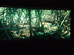 -幸福蓝海国际影城(苏州凤凰店)