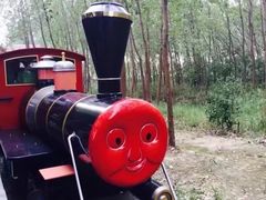 -合肥滨湖国家森林公园