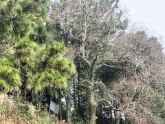 -鼓岭旅游度假区