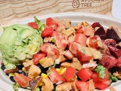 油梨果红菜头口蘑素食包里道-油梨树 AVOCADO TREE(亮马桥店)