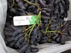 -上海龙吴水胜海发市场