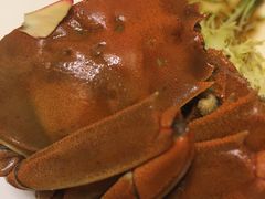 -新光酒家·河豚·海鲜·蟹料理(浦东店)