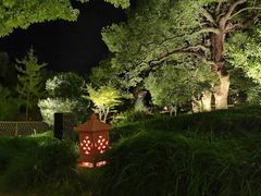 -普陀山雷迪森庄园