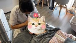 -喜孕时光月子中心(北大妇儿东侧店)