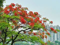 -广州神农草堂中医药博物馆