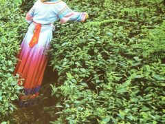 -湘邻呷铺·田园家宴(汉基广场店)