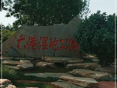 -大港湿地公园