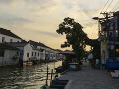 -莲花岛景区