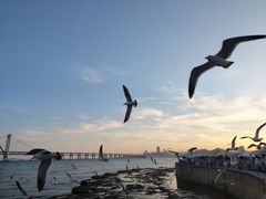 -星海广场