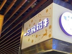 -一只酸奶牛(来福士店)