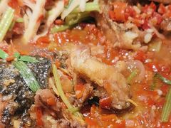 -老板恋上鱼(印象城店)