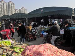 -何庄子阿米玛玛农产品批发市场