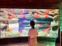 -沈阳海洋探索中心