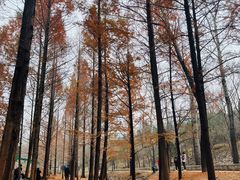 -白水寺森林公园