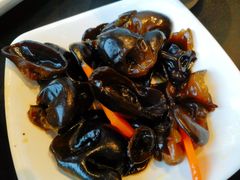 凉拌木耳-百事佳烧鸭牛腩(上海虹桥站店)